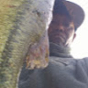 Meet your Posher, Albert